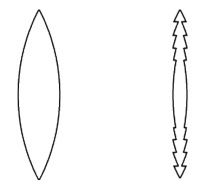 Fresnel convex lens