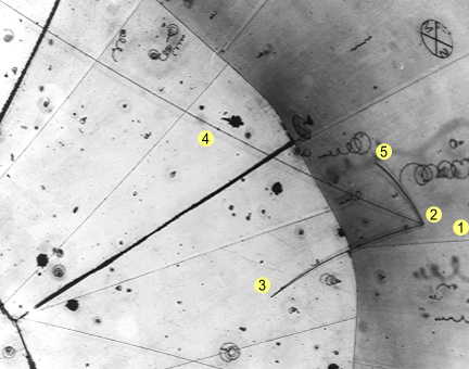 First neutrino observation