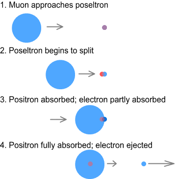 positron lepton number