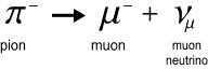 pion(-) --> muon(-) + muon-neutrino